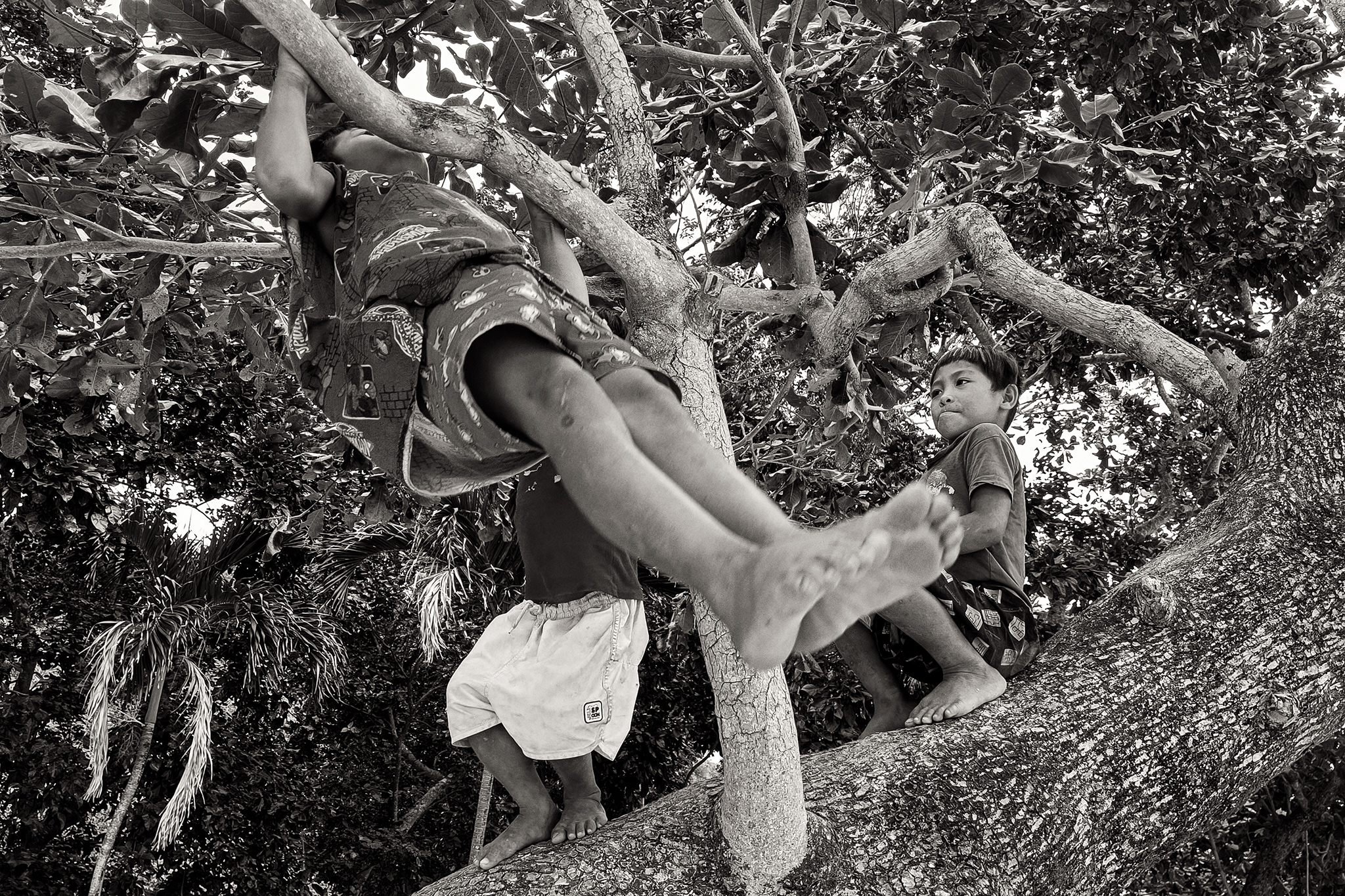 home section image 3