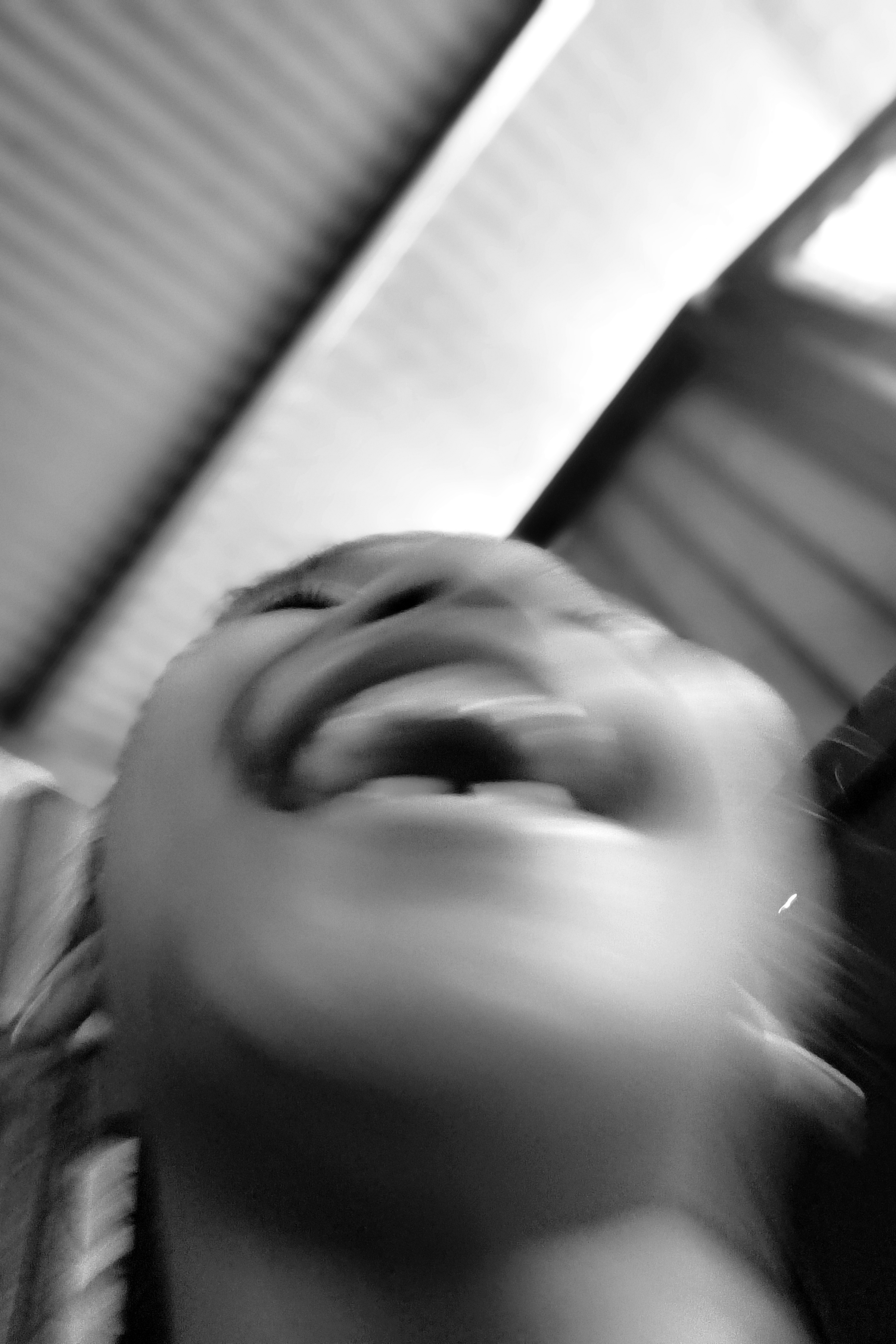 home section image 4